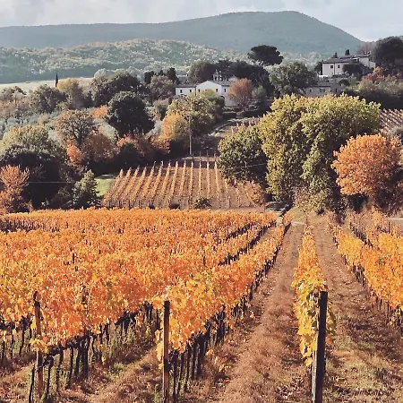 Farm stay La Falconara Montepulciano