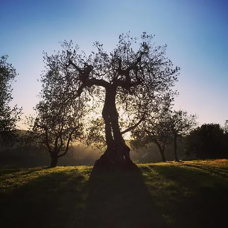 Farm stay La Falconara