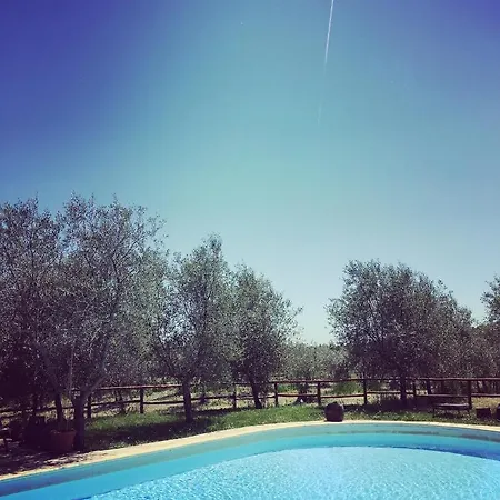 Farm stay La Falconara *