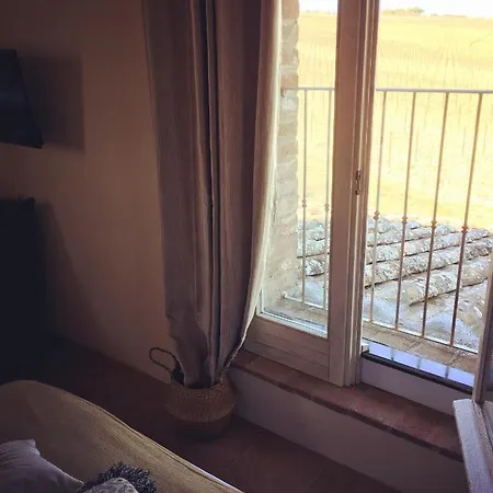 Farm stay La Falconara *