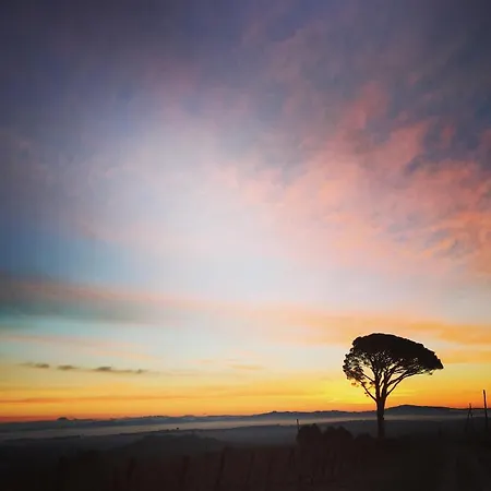Farm stay La Falconara Montepulciano