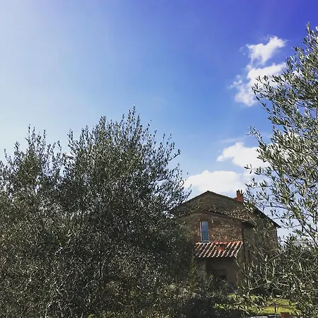 La Falconara *