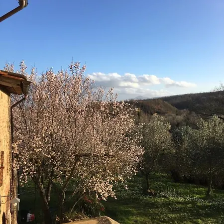 La Falconara * Montepulciano