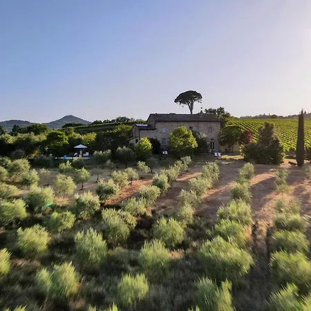 Farm stay La Falconara *