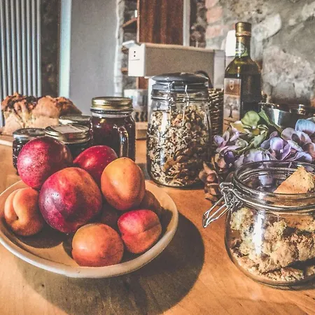 Farm stay La Falconara *