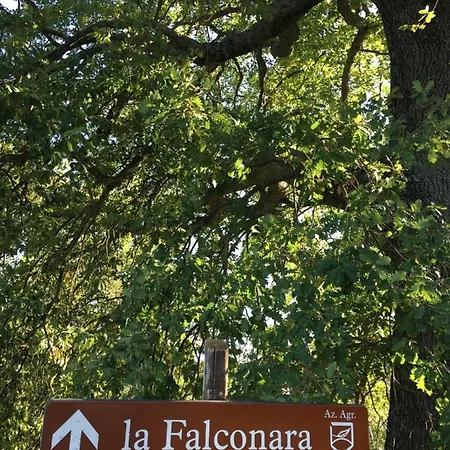 La Falconara Montepulciano Stazione