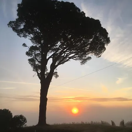 La Falconara